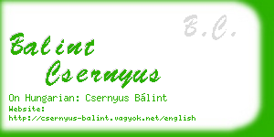 balint csernyus business card