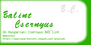 balint csernyus business card